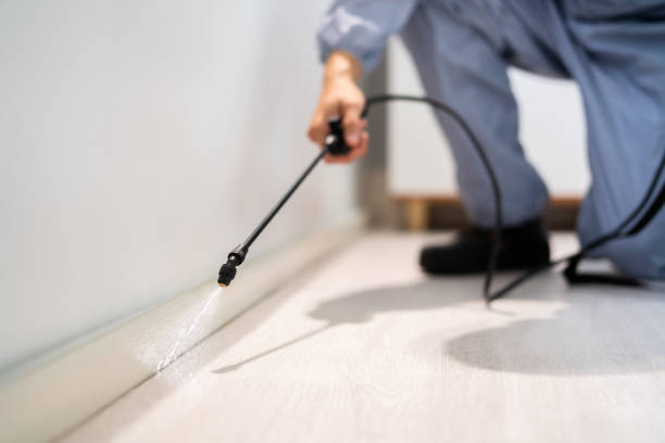 Licensed Termite Control service in Auburn, IL - Nex Pest Control