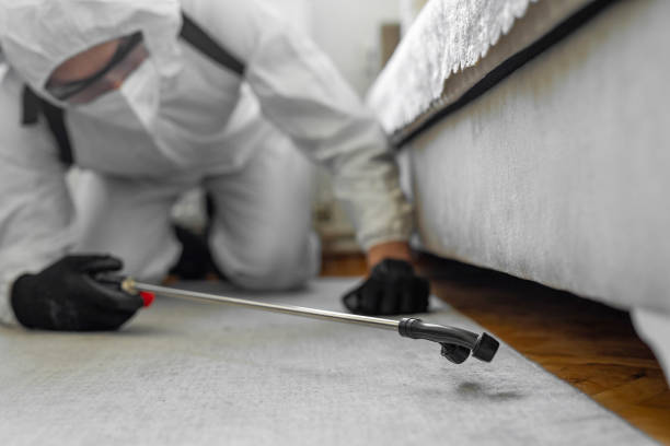 Professional Termite Control technician working in Auburn, IL