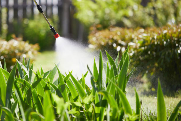 24/7 Emergency Termite Control experts in Auburn, IL