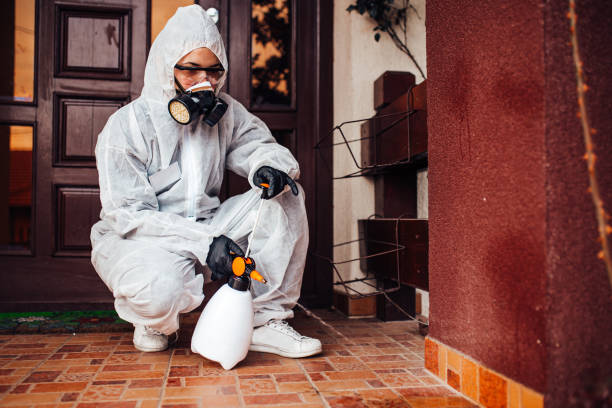 Reliable Termite Control contractor in Auburn, IL by Nex Pest Control