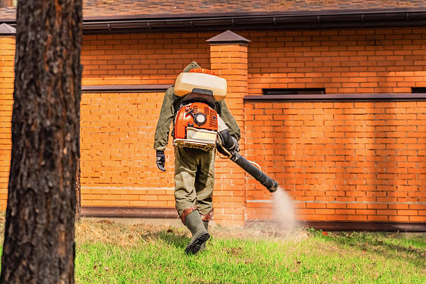 Top rated local Termite Control specialists in Auburn, IL